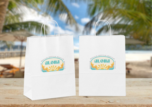 Sacchetti di carta con manici intrecciati | Paesedellebuste.it