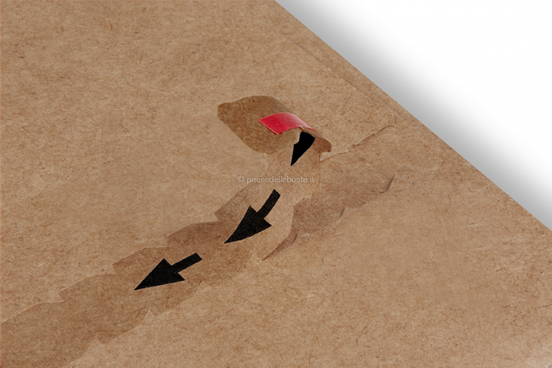 Buste Per Spedizioni Vinted 1000 Buste Postali In Plastica - Foto 10